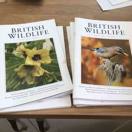 Photo of free British Wildlife magazine (Monkseaton NE25) #1