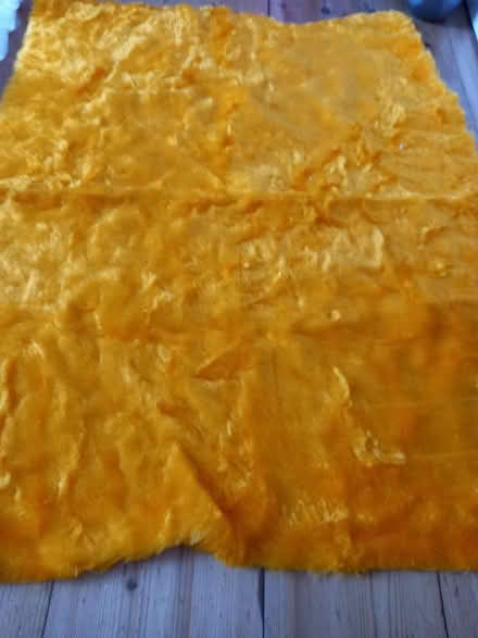 Photo of free 2 offcuts plush fabric (Loughborough Junction SE5) #2