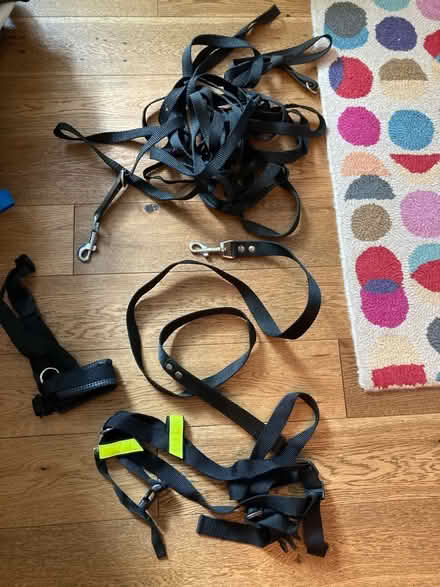 Photo of free Dog’s accessories (Feltham TW13) #1
