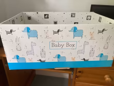 Photo of free Baby Box / cot with mattress (East Finchley N2) #1