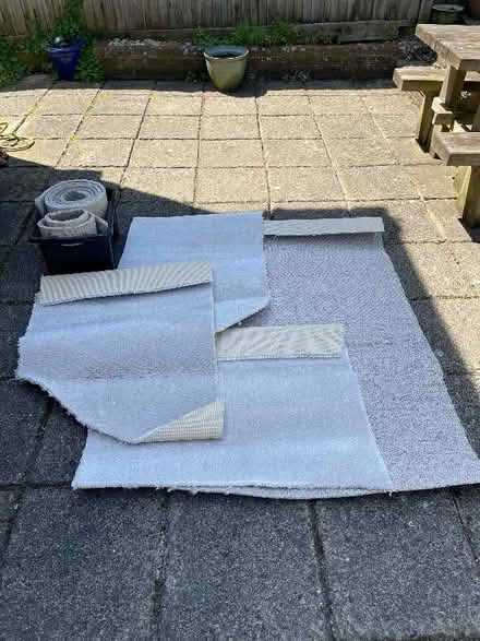 Photo of free Carpet off cuts (Seaford BN25) #1