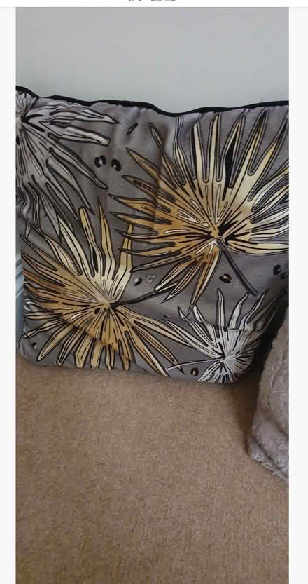 Photo of free Grey theme cushions (TA1) #3
