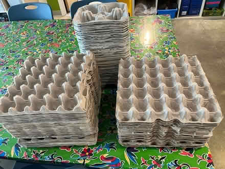 Photo of free commercial-size egg cartons (Capitol Hill near Lincoln Park) #1