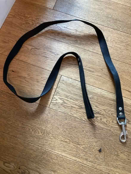 Photo of free Dog’s accessories (Feltham TW13) #4
