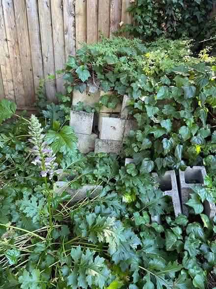Photo of free large pile of red bricks (Atherton) #4