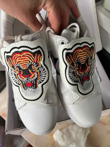 Photo of free White sneakers uk7.5 / eur 41 (Droylsden M43) #2