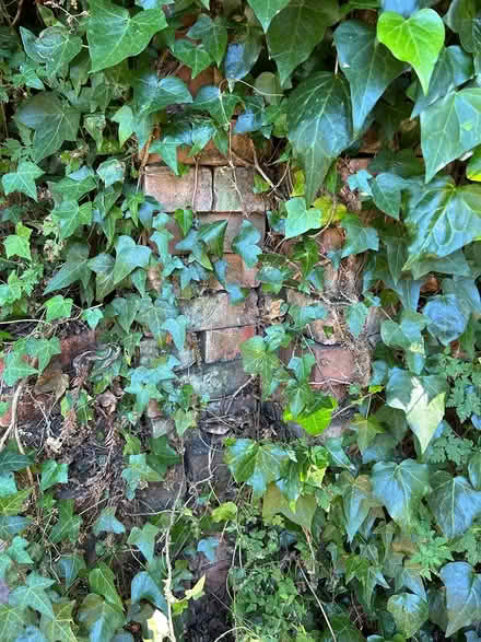 Photo of free large pile of red bricks (Atherton) #3