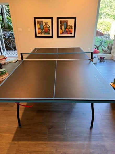 Photo of free Table Tennis Ping Pong Table (Fallls Church) #3