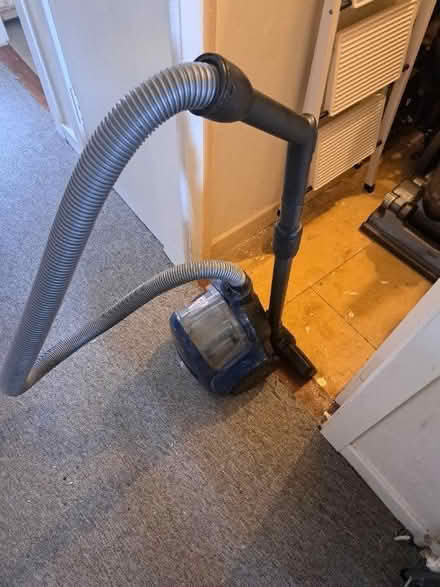 Photo of free Hover (Brechin DD9) #1