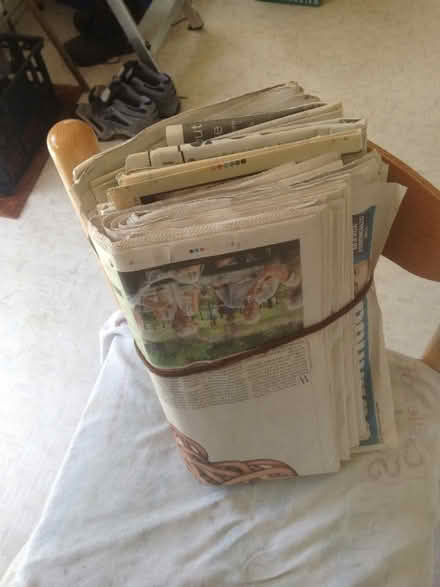 Photo of free Bundle of used Newspapers (Purbrook PO7) #1