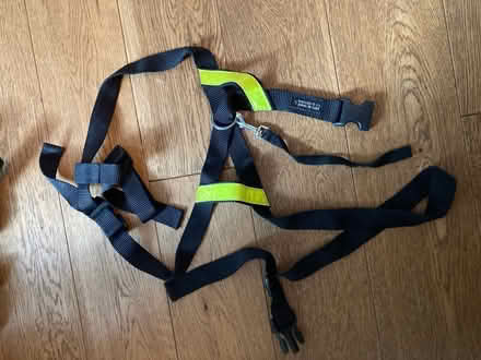 Photo of free Dog’s accessories (Feltham TW13) #3