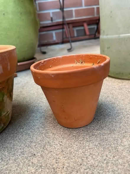 Photo of free Clay pots (UES) #2