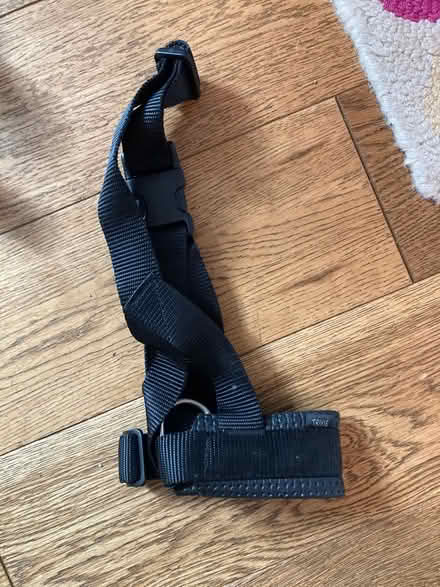 Photo of free Dog’s accessories (Feltham TW13) #2