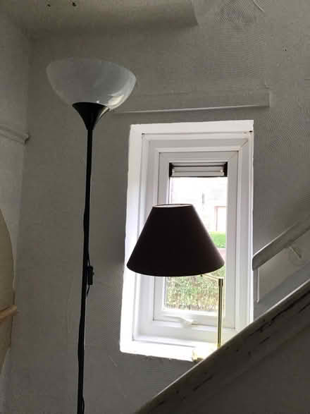 Photo of free Two lamps (Basegreen S12) #1