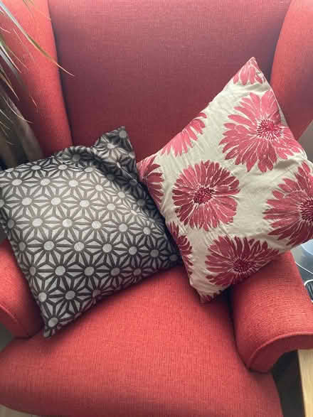 Photo of free Cushions (Tottenham N18) #1