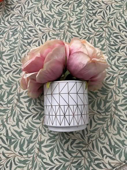 Photo of free Artificial roses (BS3) #1