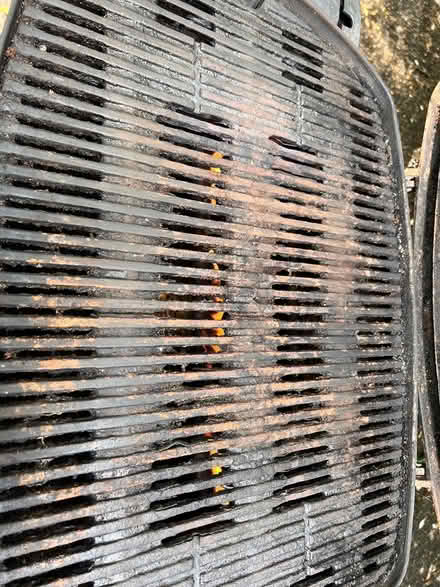 Photo of free Small Weber gas grill (Madison/Monona)
