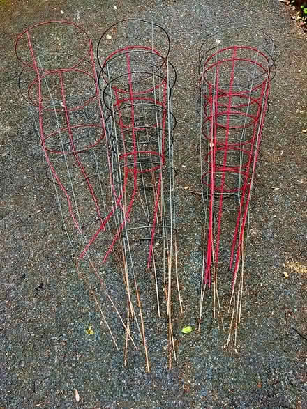 Photo of free About 10 vegetable cages (Tenleytown) #1