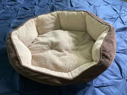 Photo of free Pet bed. Cat or Dog around 10kg (East Finchley N2) #1