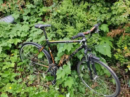 Photo of free Bike (Bray) #1