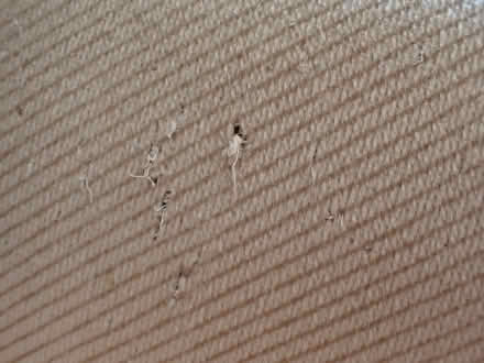 Photo of free Dining table & 4 chairs (Great Chishill SG8) #3