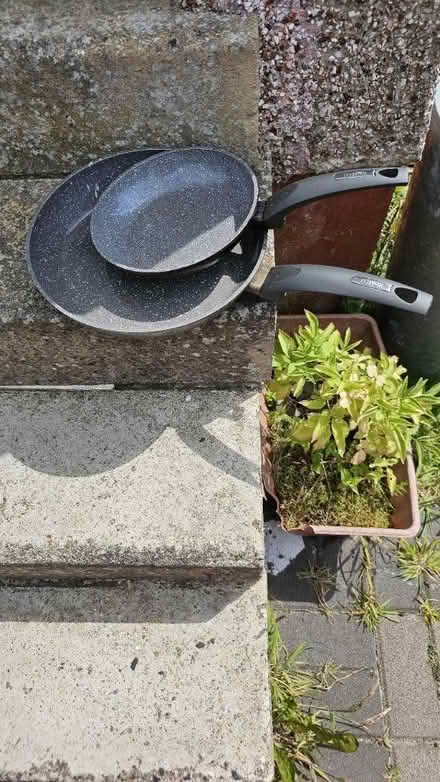 Photo of free Frying pans (Cardonald) #1