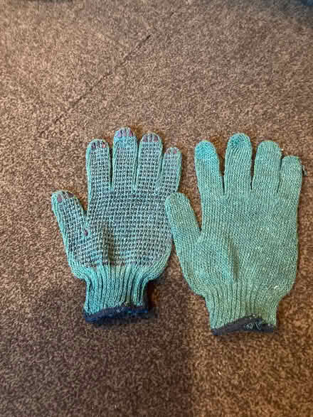 Photo of free Gardening gloves (Harrogate HG2) #1