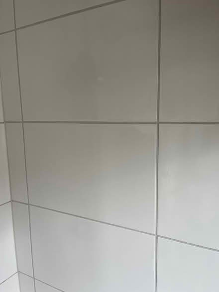 Photo of free Tiles (DH4) #2