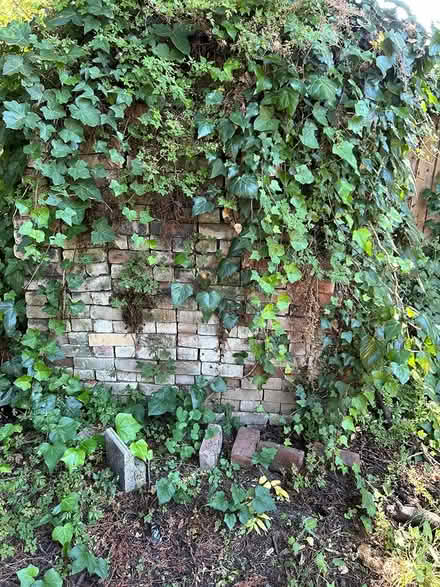 Photo of free large pile of red bricks (Atherton) #1