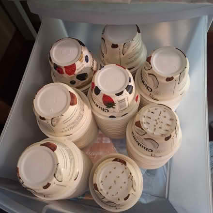 Photo of free Clean, empty yogurt cups (Rainier Beach, Seattle) #1