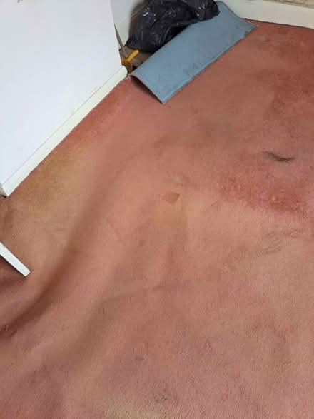 Photo of free Old pink carpet (Weybridge, KT13) #2