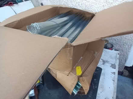 Photo of free Sapling protectors (Torrance G64) #1