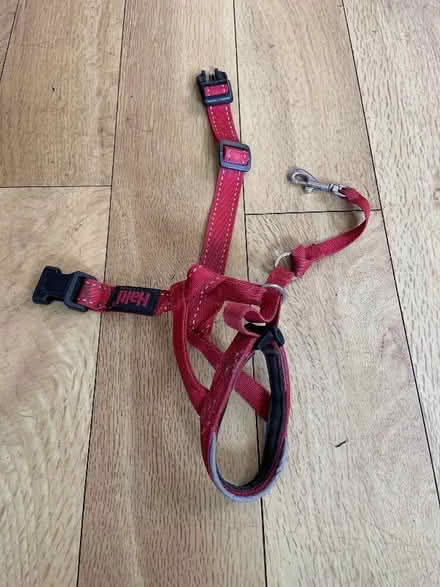 Photo of free Halti dog collar/harness (Castle MK40) #1