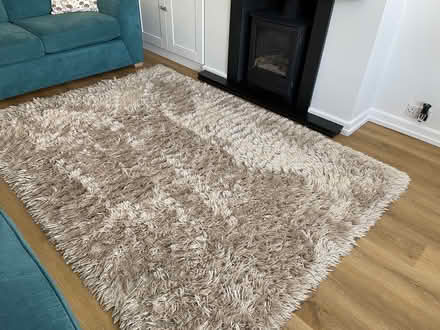 Photo of free Large rug (Paignton) #2