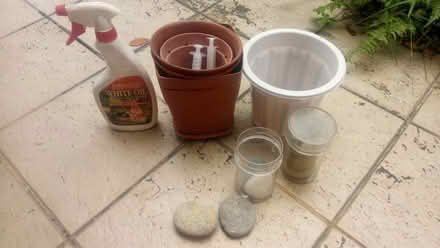 Photo of free gardening related (potong pasir MRT) #4