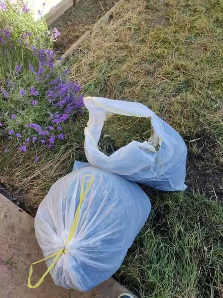 Photo of free Freshly cut grass (SW17) #1