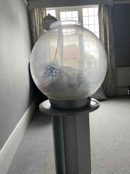 Photo of free Bi orb (Nunthorpe TS7) #1