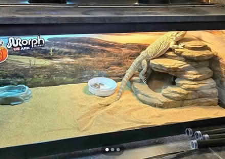 Photo of free Reptile tank (Dc) #1
