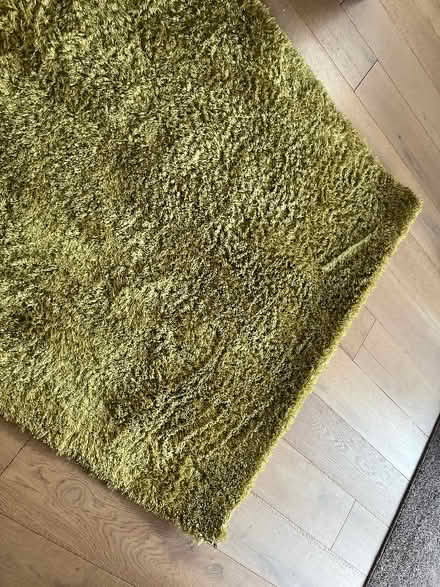 Photo of free Green Next rug (Thorpe St Andrew NR7) #1