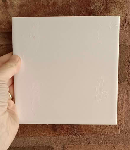 Photo of free Wall tiles (Summertown OX2) #2