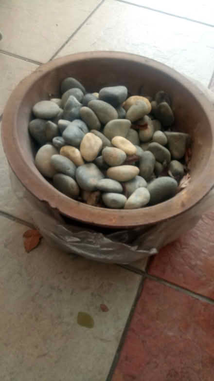 Photo of free gardening related (potong pasir MRT) #3