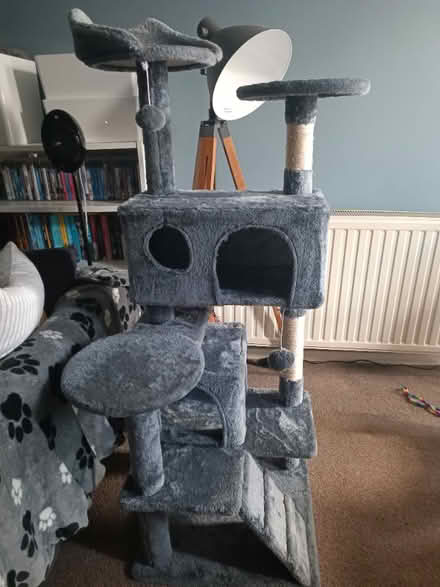Photo of free Cat Tree (CT11) #1