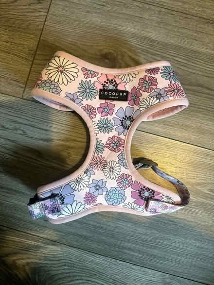 Photo of free Dog jumper and harness (G78) #1