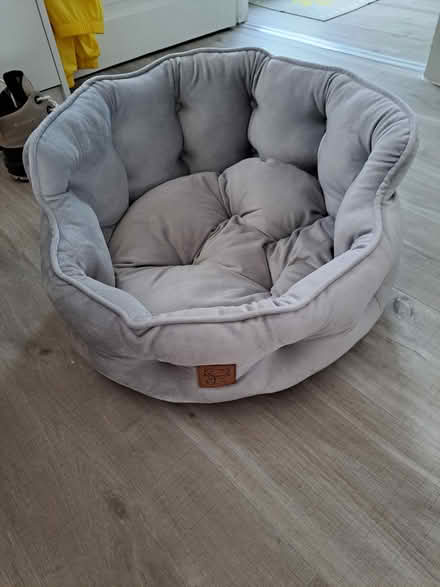 Photo of free Cats bed (SP101) #1