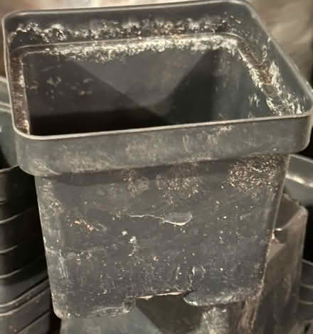 Photo of free Potting Trays & Pots (Port Murray, NJ) #4