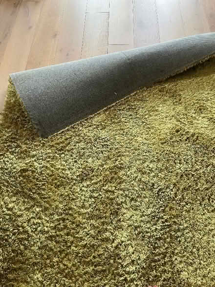 Photo of free Green Next rug (Thorpe St Andrew NR7) #2
