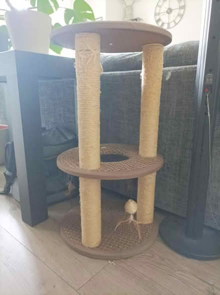 Photo of free Cat tree (Earsfield) #1