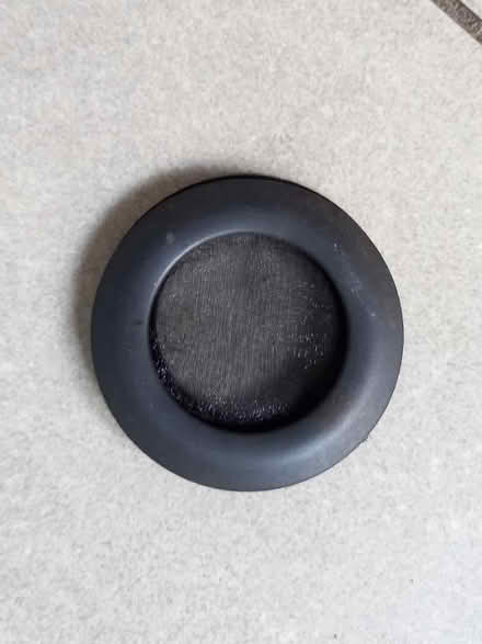 Photo of free (Stick) insect habitat (Loughborough Junction SE5) #4