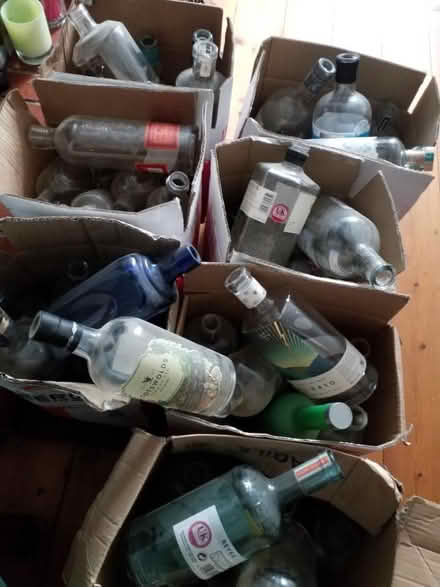 Photo of free Assorted empty gin bottles (Catford) #2