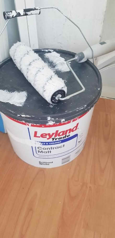 Photo of free White paint and roller brush (Fullwell cross) #1